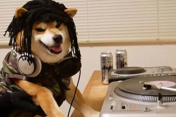 CONNAISSEZ-VOUS LE TEMPERAMENT DE VOTRE CHIEN SHIBA INU