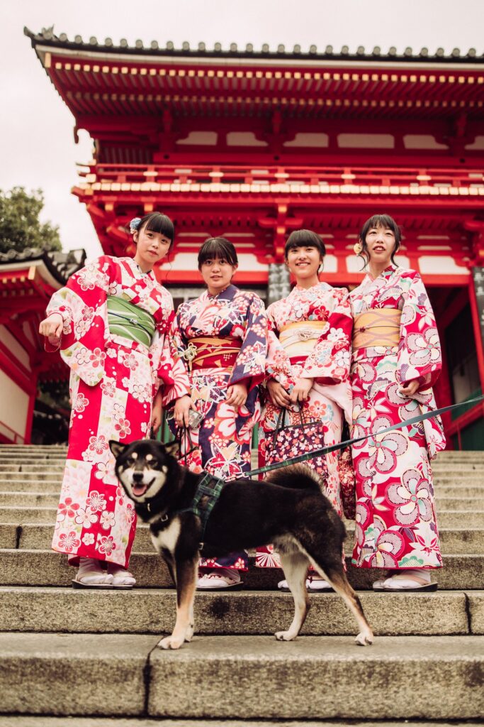 Shiba Inu guide