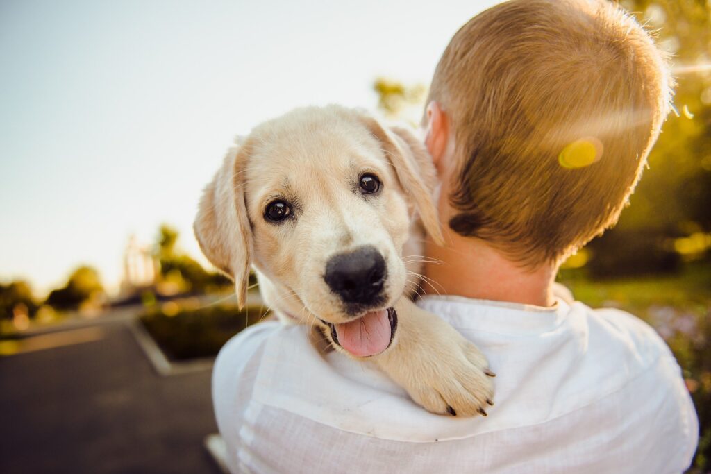 Quelles sont les exigences du métier d'éleveur canin ?